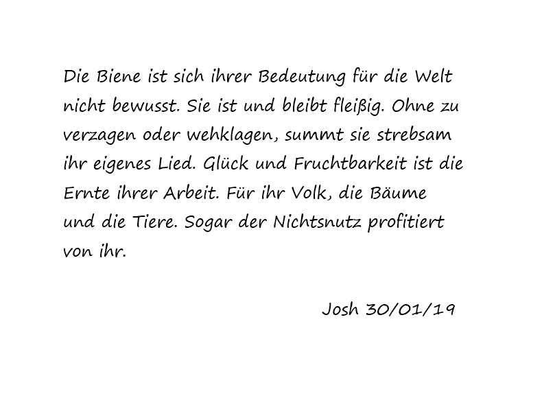Die Biene
