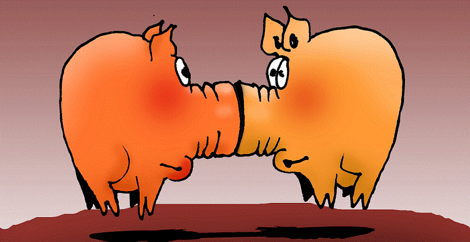 Gründer und Gründerteam