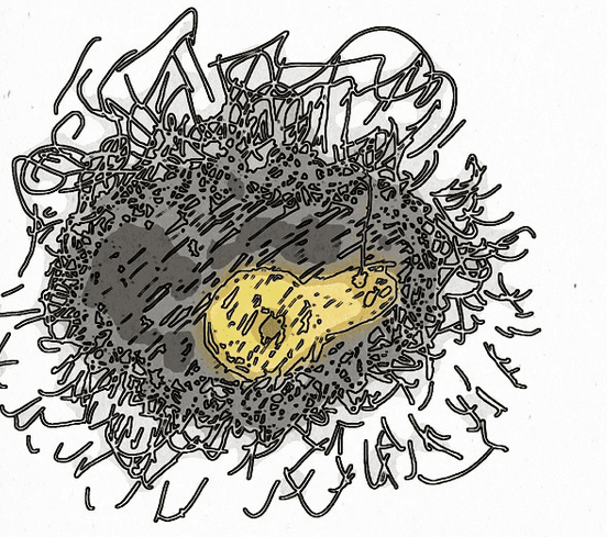 Erfolgreich durch Besonnenheit